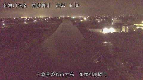 yoko2026032622_image