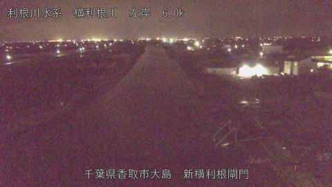 yoko2026032623_image