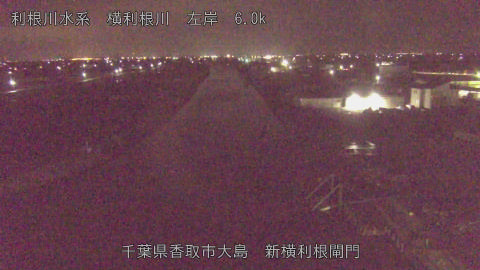 yoko2026032701_image