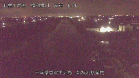 yoko2026032702_image