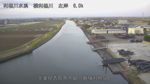 yoko2026032706_image