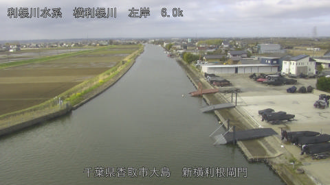 yoko2026032708_image