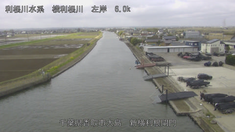 yoko2026032709_image