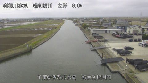 yoko2026032710_image