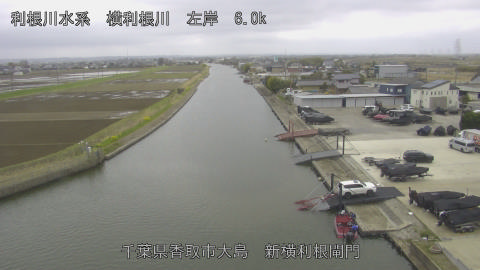 yoko2026032711_image