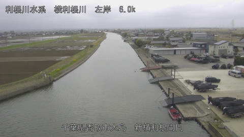 yoko2026032712_image