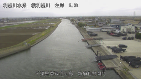 yoko2026032713_image