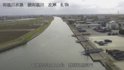 yoko2026032715_image