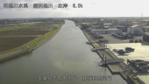 yoko2026032716_image