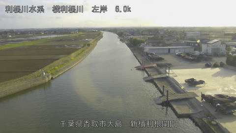 yoko2026032717_image