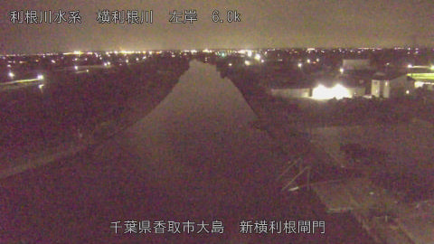 yoko2026032721_image