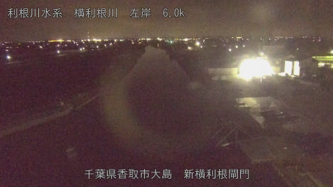 yoko2026032723_image