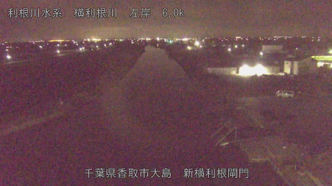 yoko2026032800_image