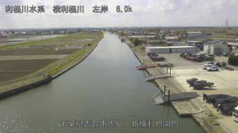 yoko2026032812_image