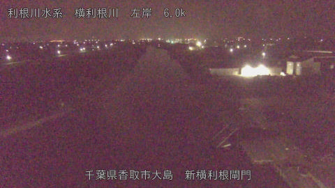 yoko2026032904_image