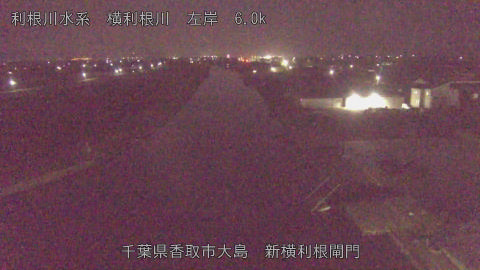 yoko2026032905_image