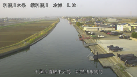 yoko2026032907_image