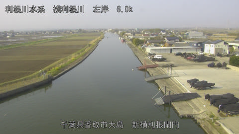 yoko2026032908_image