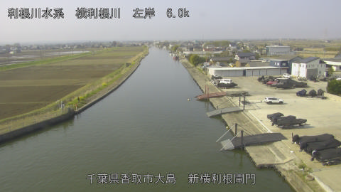 yoko2026032909_image