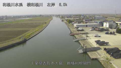 yoko2026032910_image