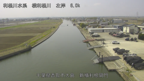 yoko2026032911_image