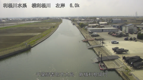 yoko2026032913_image