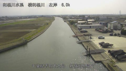 yoko2026032914_image