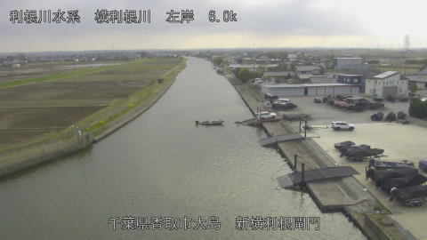 yoko2026032916_image