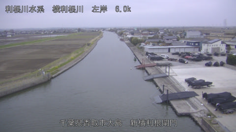 yoko2026032918_image