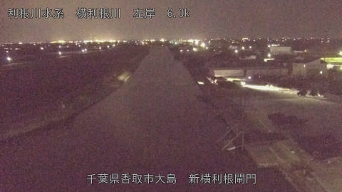 yoko2026032919_image