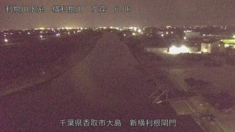 yoko2026032921_image