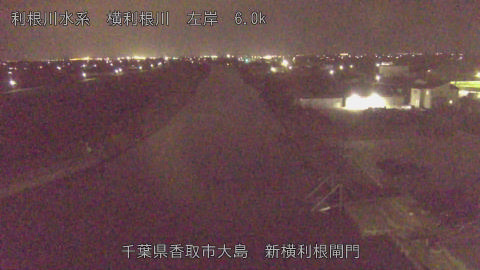 yoko2026032923_image