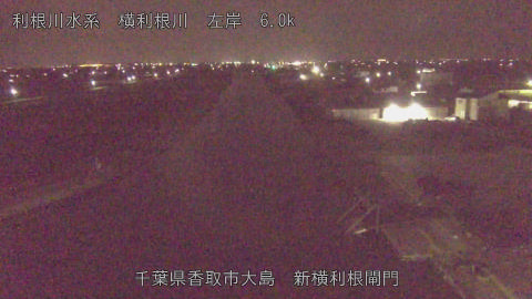 yoko2026033001_image