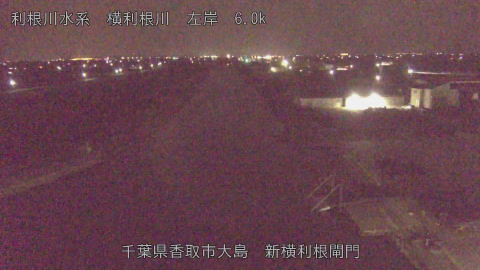 yoko2026033002_image