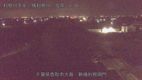 yoko2026033004_image