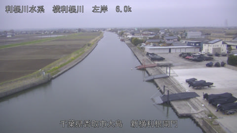 yoko2026033006_image