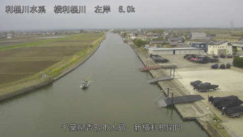 yoko2026033007_image