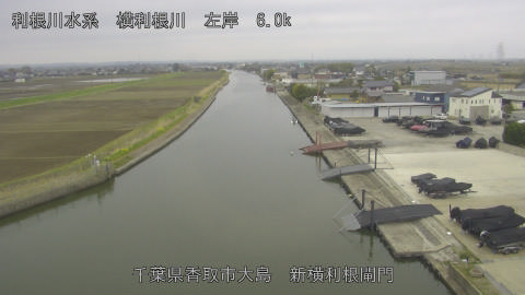 yoko2026033008_image