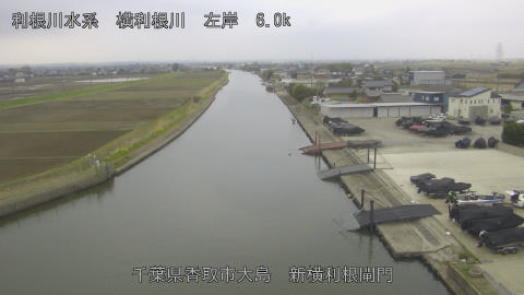 yoko2026033009_image