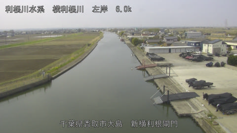 yoko2026033010_image