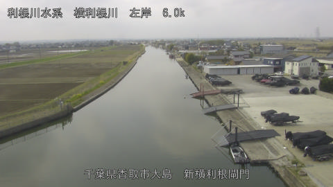 yoko2026033011_image