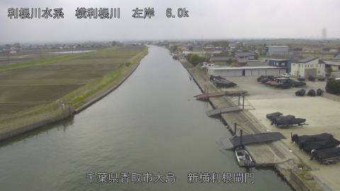 yoko2026033012_image