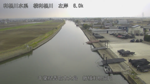 yoko2026033013_image