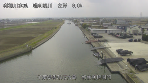 yoko2026033014_image