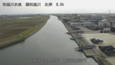 yoko2026033015_image