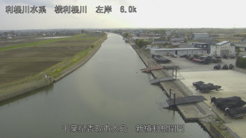 yoko2026033017_image