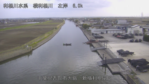 yoko2026033018_image