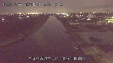 yoko2026033019_image