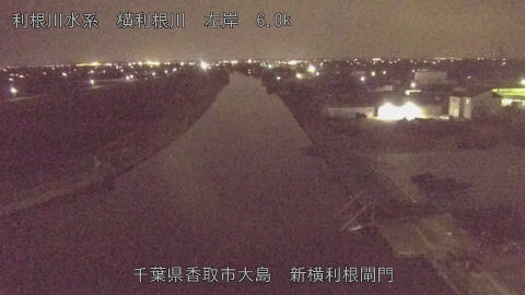 yoko2026033022_image