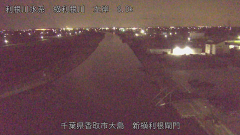 yoko2026033100_image